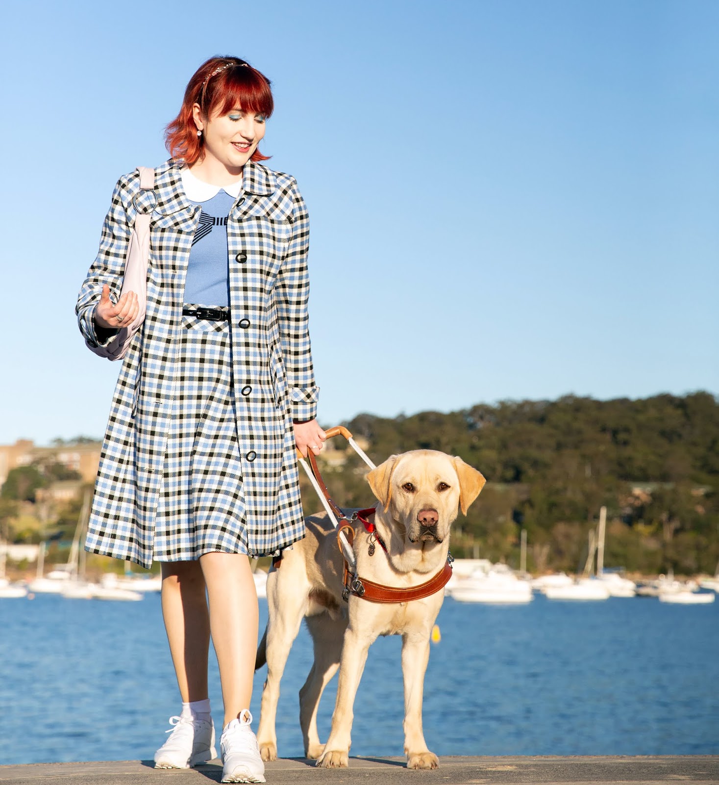 Australian guide dogs discount